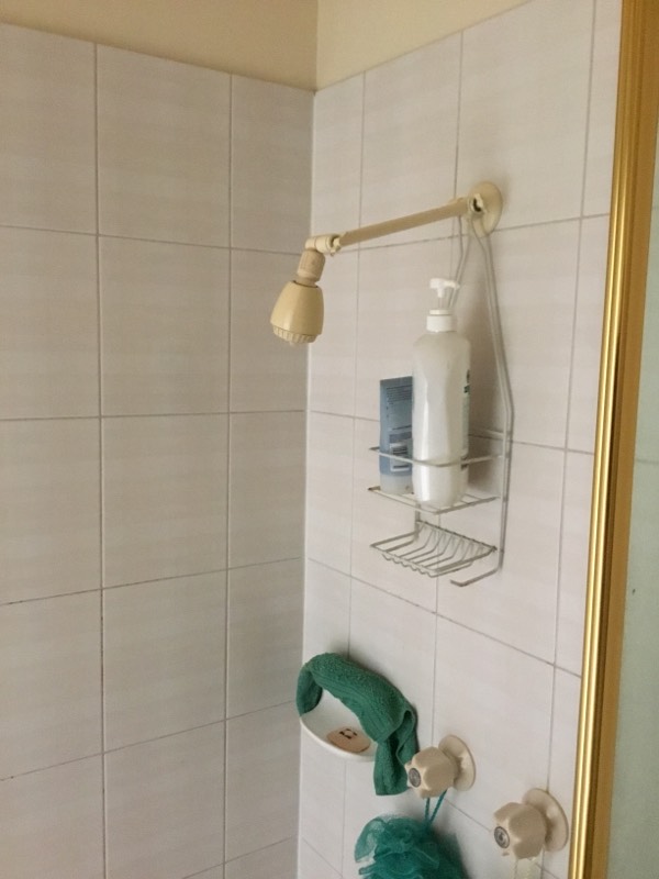 Taigum Bathroom Dripping 